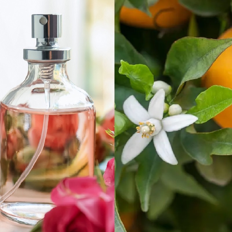 Parfum Spray Oranger en Fleurs